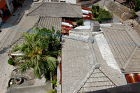 セメント瓦 2008/06/30 12:28:07