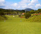 県民の森 2008/08/17 10:55:29