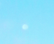 ラジオ体操(18) 2008/08/19 07:03:58