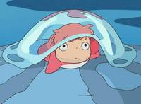 昨日は、休日 2008/08/07 10:04:11