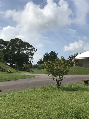 日本一早く咲く桜の森公園リニューアル! 日本一早く咲く桜の森公園リニューアル!