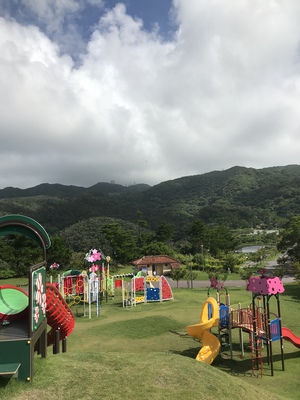 日本一早く咲く桜の森公園リニューアル! 日本一早く咲く桜の森公園リニューアル!