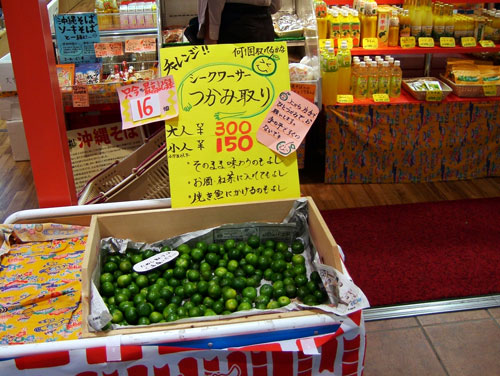 シークヮーサー つかみ取り~