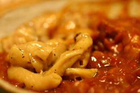 鶏肉のトマトシチュー