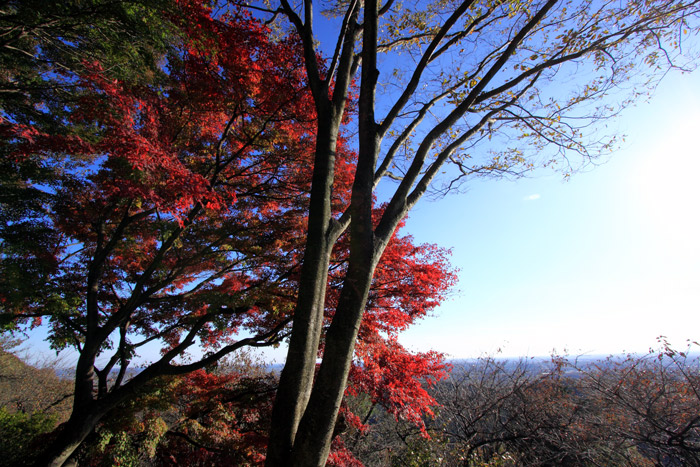 11月15日!! 栃木大平山へ行って来ました。