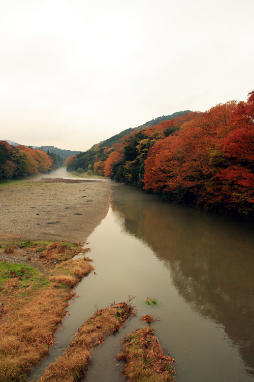 嵐山渓谷 紅葉