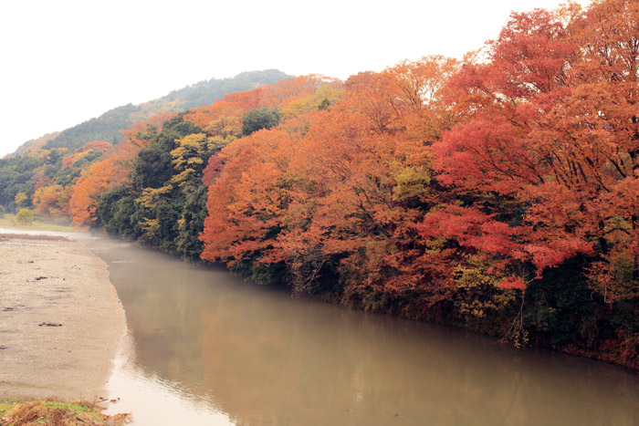 嵐山渓谷 紅葉