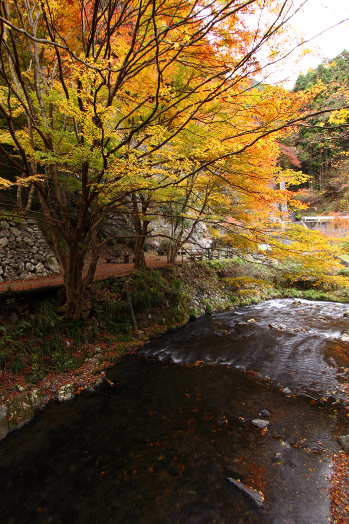 11月19日 栃木県蓬莱山へ 紅葉狩り