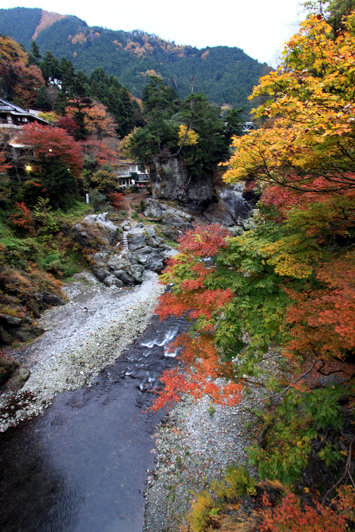 11月24日 東京都奥多摩 鳩の巣渓谷の紅葉です。