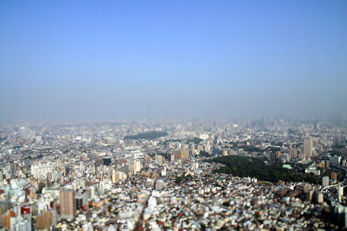 ひさびさに青空~♪
