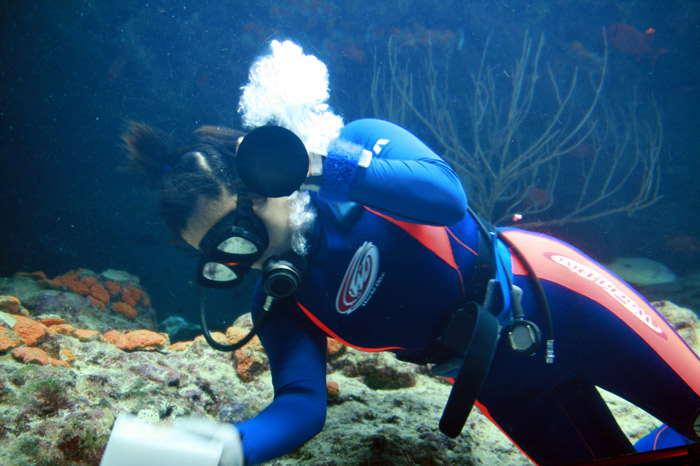 美ら海水族館