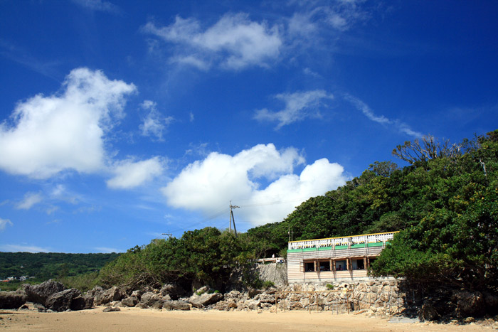 沖縄旅行 一日目 お茶