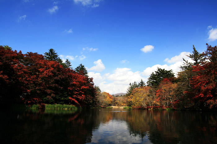 軽井沢 紅葉