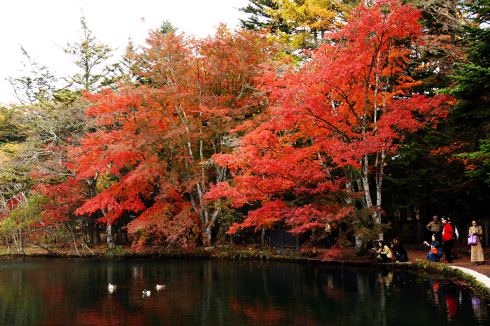 軽井沢 紅葉