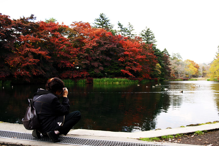 軽井沢 紅葉