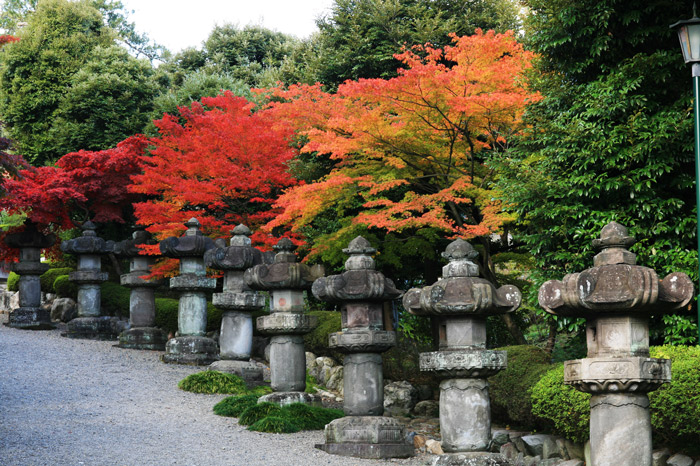 能仁寺 紅葉
