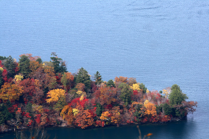 日光 中禅寺湖の紅葉