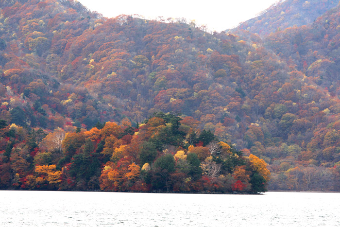 日光 中禅寺湖の紅葉