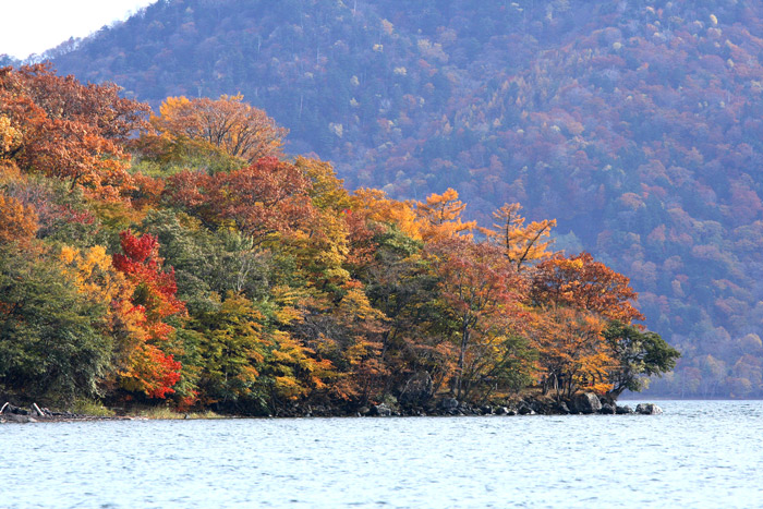 日光 中禅寺湖の紅葉