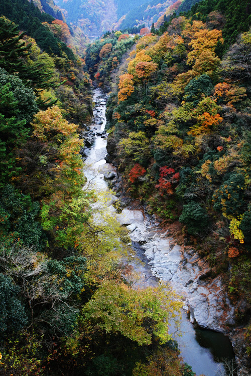 大血川渓谷(秩父市大滝) 紅葉