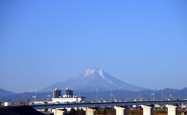 明日まで仕事なのら。