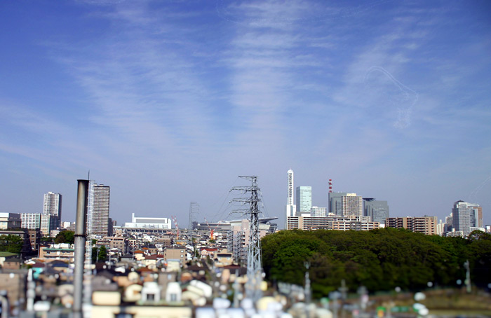 晴れました~ 休日です。