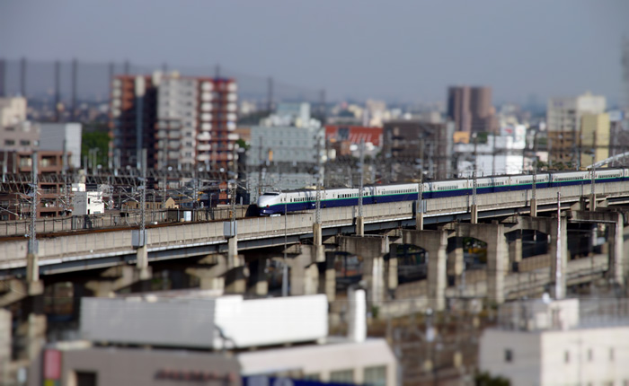 天気がいいみたい。