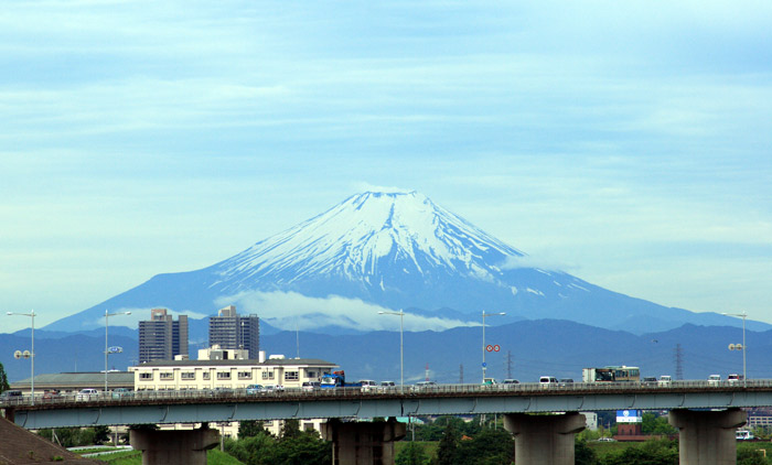 今朝の景色
