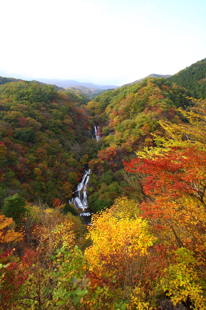 紅葉(関東)@日光 霧降ノ滝