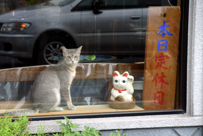 招き猫?