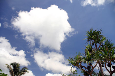 あと数日で梅雨明けですね