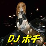 DJポチ