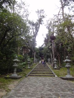 南大東島へ行ってきました4