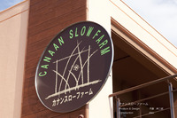 2011年10月31日