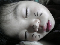 2008年始動!