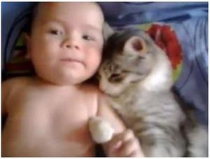 赤ちゃんに心を持っていかれた猫 Youtube 動画