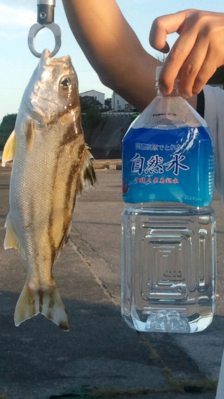 簡単にまとめると…