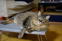 釣れたの？ 2008/06/16 14:38:11