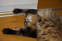 病院でした 2008/06/23 19:24:50