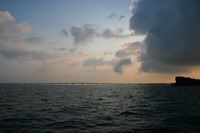 雨でやんす・・・ 2008/06/29 12:03:24