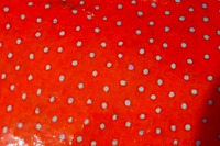 １９日～ツアー 2008/06/17 12:55:15