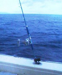 フカセ釣り 2008/06/21 05:25:34