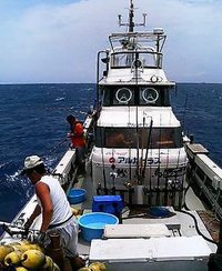 クエ狙い 2008/06/22 11:36:21