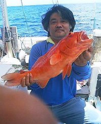モッサモサ 2008/07/05 22:01:41