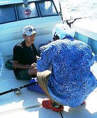 特別ゲスト 2008/07/06 10:24:49