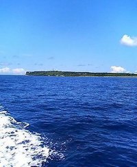 癒し釣り 2008/07/06 14:00:09