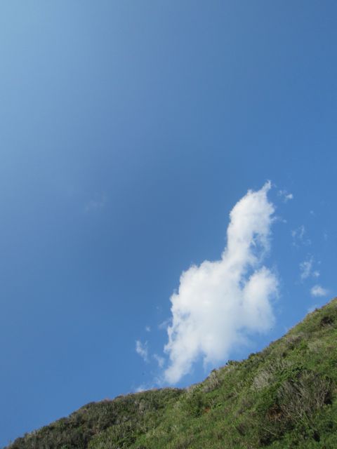 楽しいことやんなきゃ♪