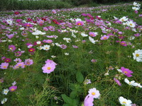 2009年12月06日