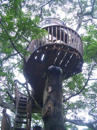 ゴールデンウィーク　② 2007/05/11 12:02:22