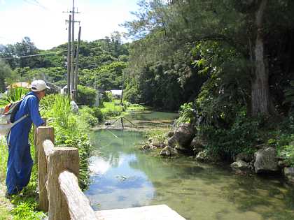 親川は水田に水を供給した